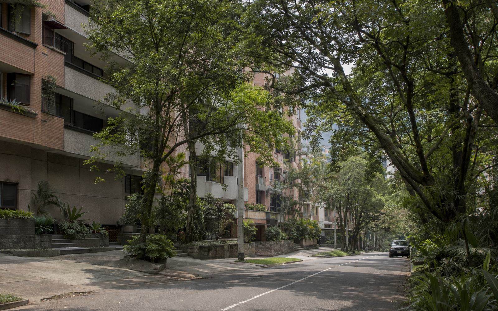 A leafy residential street on a gentle gradient, brick apartment buildings set back behind planting.