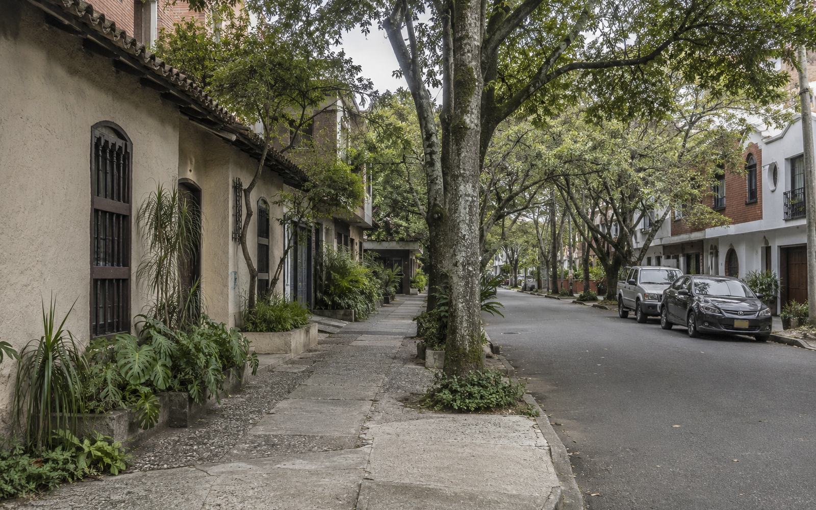 Low-rise converted houses on a flat, tree-lined street in the lower loma of El Poblado.